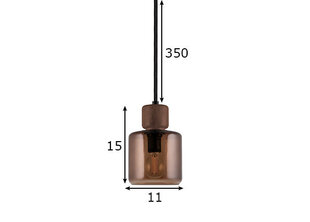 Подвесной светильник Globen Lighting Dot цена и информация | Потолочный светильник, 38 x 38 x 24 см | hansapost.ee