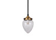 Laelamp Juni 11 891111675 hind ja info | Rippvalgustid | hansapost.ee