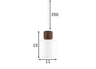 Подвесной светильник Globen Lighting Dot цена и информация | Потолочный светильник, 38 x 38 x 24 см | hansapost.ee