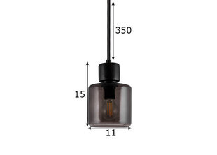 Подвесной светильник Globen Lighting Dot цена и информация | Люстры | hansapost.ee