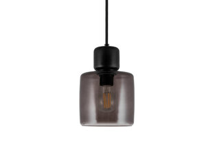 Подвесной светильник Globen Lighting Dot цена и информация | Люстры | hansapost.ee