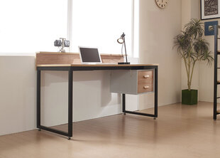 Письменный стол из акации цена и информация | Компьютерные, письменные столы | hansapost.ee