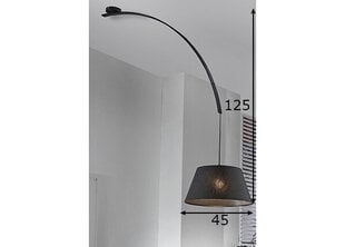 Потолочный светильник цена и информация | Потолочные светильники | hansapost.ee