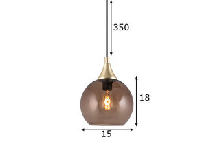 Потолочный светильник Bowl мини, коричневый цена и информация | Люстры | hansapost.ee