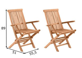 Комплект садовых стульев, 2шт. цена и информация | Садовые стулья, кресла, пуфы | hansapost.ee