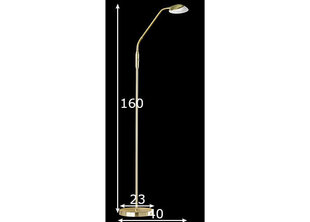 Põrandalamp Pool TW LED hind ja info | Põrandalambid | hansapost.ee