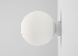 Настенная лампа Ball, белый цена и информация | Настенный светильник Конусы | hansapost.ee