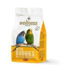 Корм для попугаев PD Wellness, 1кг цена и информация | Корм для птиц | hansapost.ee