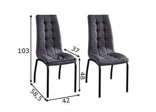 Набор обеденных стульев, 2 шт., светло-серый цена и информация | Стулья для кухни и столовой | hansapost.ee