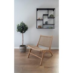 Кресло Derby, коричневый цена и информация |  Садовые стулья, кресла, пуфы | hansapost.ee