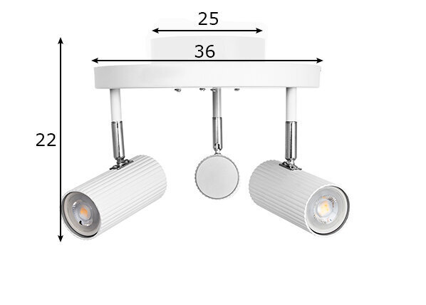 Globen Lighting laevalgusti цена и информация | Laelambid | hansapost.ee