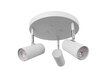 Globen Lighting laevalgusti hind ja info | Laelambid | hansapost.ee