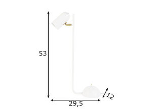 Globen Lighting laualamp Swan hind ja info | Laualambid | hansapost.ee