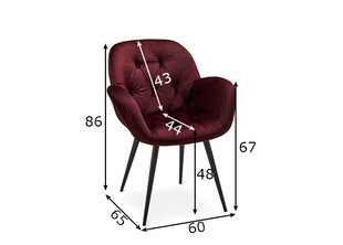 Набор столовых стульев Salina, 2шт, фиолетовый цена и информация | Стулья для кухни и столовой | hansapost.ee