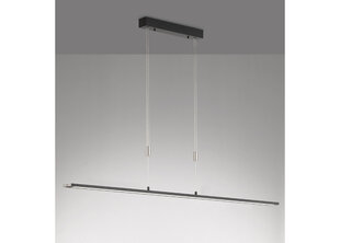Подвесной светильник Fischer & Honsel Metz цена и информация | Потолочный светильник, 38 x 38 x 24 см | hansapost.ee