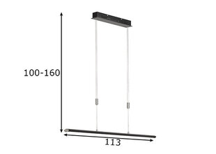 Подвесной светильник Fischer & Honsel Beat цена и информация | Потолочный светильник, 38 x 38 x 24 см | hansapost.ee