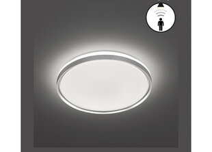 Потолочный светильник цена и информация | Потолочные светильники | hansapost.ee