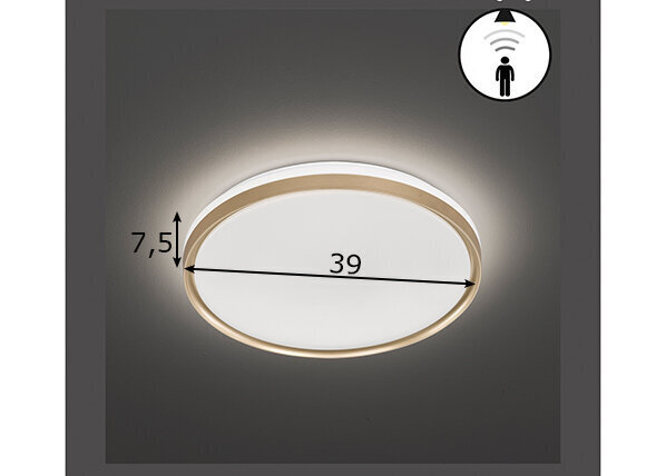 Laelamp Jaso BS LED 891099646 hind ja info | Laelambid | hansapost.ee