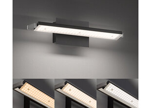 Seinalamp Pare TW LED цена и информация | Настенные светильники | hansapost.ee