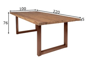 Обеденный стол Tische, 220x100 цена и информация | Кухонные и обеденные столы | hansapost.ee