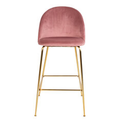 Комплект из 2 стульев Lausanne, розовый цена и информация | Стулья для кухни и столовой | hansapost.ee