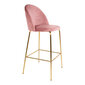 2-tooliga komplekt Lausanne, roosa цена и информация | Köögitoolid, söögitoolid | hansapost.ee