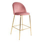 2-tooliga komplekt Lausanne, roosa цена и информация | Köögitoolid, söögitoolid | hansapost.ee