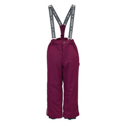 Huppa детские зимние штаны FREJA, бордовый 907143513 цена и информация | Зимняя одежда для детей | hansapost.ee