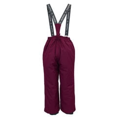 Huppa детские зимние штаны FREJA, бордовый 907143513 цена и информация | Huppa Одежда, обувь для детей и младенцев | hansapost.ee