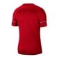 Meeste spordisärk Nike Dri-FIT Academy 21 M CW6101-657, punane hind ja info | Spordiriided meestele | hansapost.ee