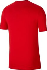 Мужская футболка Nike Park 20, красная цена и информация | Мужские футболки | hansapost.ee