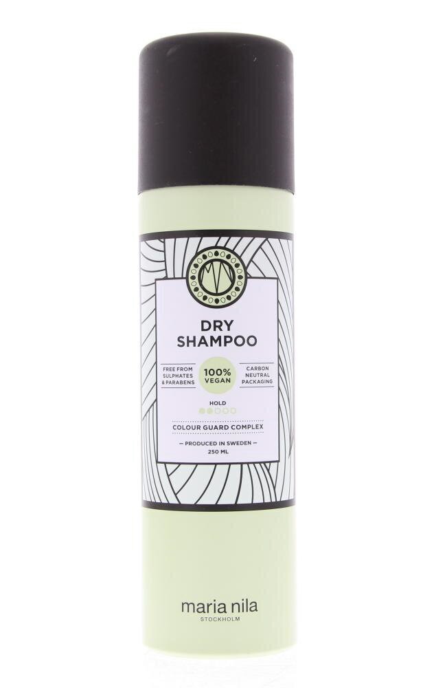 Kuivšampoon Style & Finish цена и информация | Šampoonid | hansapost.ee