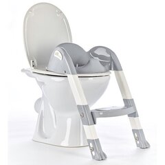 Туалетное сиденье со ступенькой Thermobaby Kiddyloo,Grey Charme цена и информация | Детские горшки | hansapost.ee