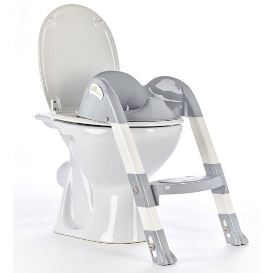 Tualettpotti aste Thermobaby Kiddyloo, Grey Charme hind ja info | Laste pissipotid | hansapost.ee