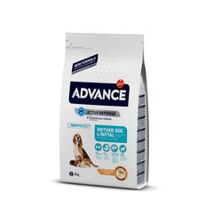 ADVANCE DOG PUPPY INITIAL 3,0KG - ДЛЯ БЕРЕМЕННЫХ, КОРМЯЩИХ СОБАК И ЩЕНКОВ ВСЕХ ПОРОД цена и информация | Сухой корм для собак | hansapost.ee