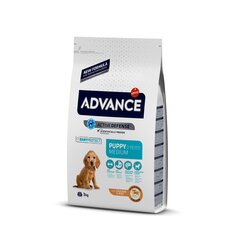 Kuivtoit koertele ADVANCE Puppy Protect Medium, lõhe ja riisiga, 3 kg hind ja info | Koerte kuivtoit ja krõbinad | hansapost.ee