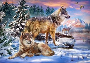 Пазл Castorland Wolfish Wonderland, 500 д. цена и информация | Пазлы | hansapost.ee