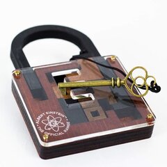 Einstein Collection Lock Puzzle hind ja info | Lauamängud ja mõistatused perele | hansapost.ee