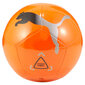 Jalgpallipall Puma Icon, oranž цена и информация | Jalgpalli pallid | hansapost.ee