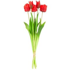 Искусственные тюльпаны Parrot, 5 шт., красные цена и информация | Детали интерьера | hansapost.ee