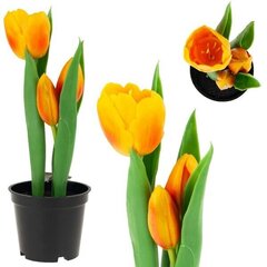 Искусственные тюльпаны в горшке, оранжевые цена и информация | Детали интерьера | hansapost.ee