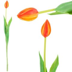 Kunsttulp, oranž hind ja info | Sisustuselemendid | hansapost.ee