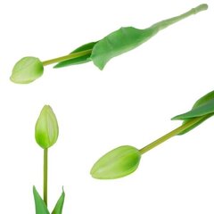 Искусственный тюльпан, зеленый цена и информация | Детали интерьера | hansapost.ee
