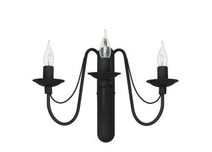 Настенный светильник Roza, черный цена и информация | Настенные светильники | hansapost.ee