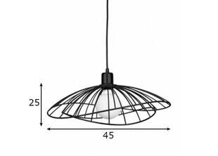 Globen Lighting Подвесной светильник Ray цена и информация | Люстры | hansapost.ee