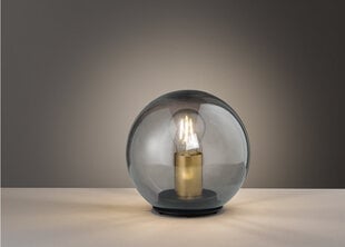 Настольная лампа Dini цена и информация | Настольные лампы | hansapost.ee