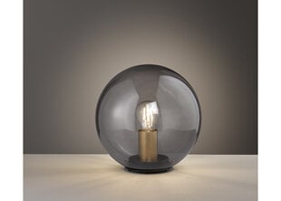 Настольная лампа Dini цена и информация | Настольные лампы | hansapost.ee