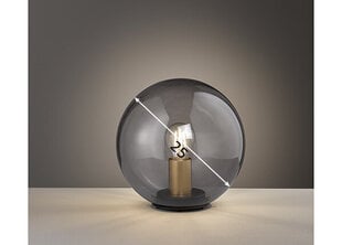 Настольная лампа Dini цена и информация | Настольная лампа | hansapost.ee