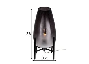 Настольная лампа Tulip цена и информация | Настольная лампа | hansapost.ee