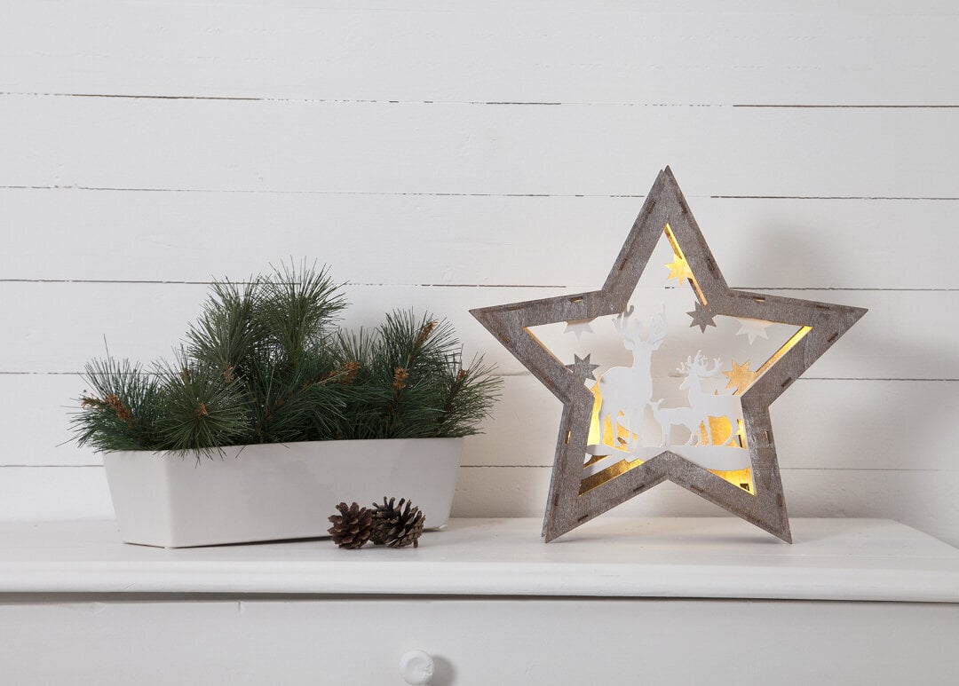 LED tuledega dekoratsioon Fauna, pruun цена и информация | Jõulukaunistused | hansapost.ee